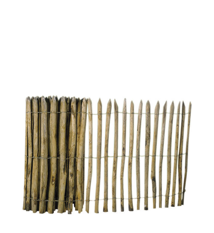 Hazelaarhek 100x500cm (1046048)