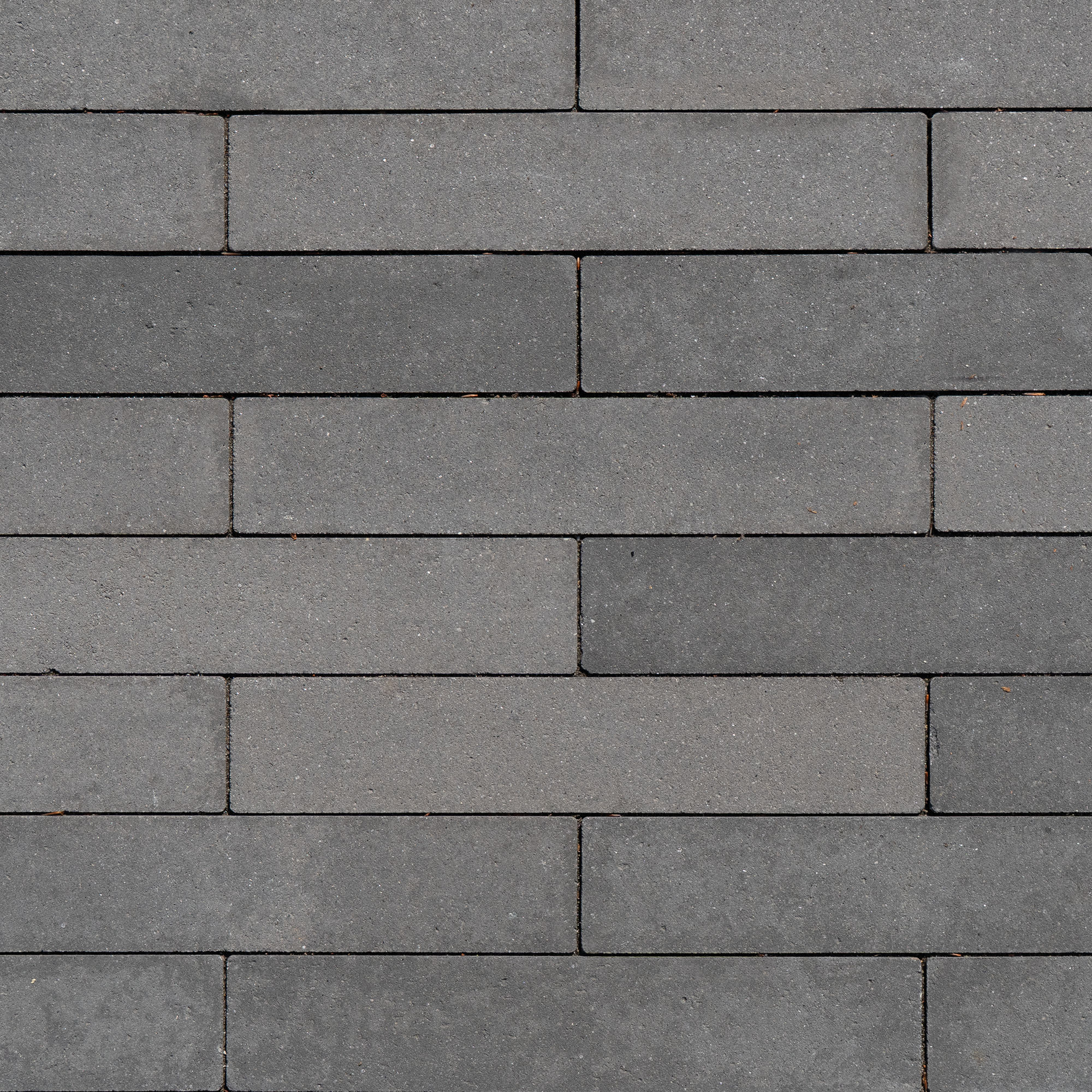 Granuluxe XL 40x8x8cm Antraciet