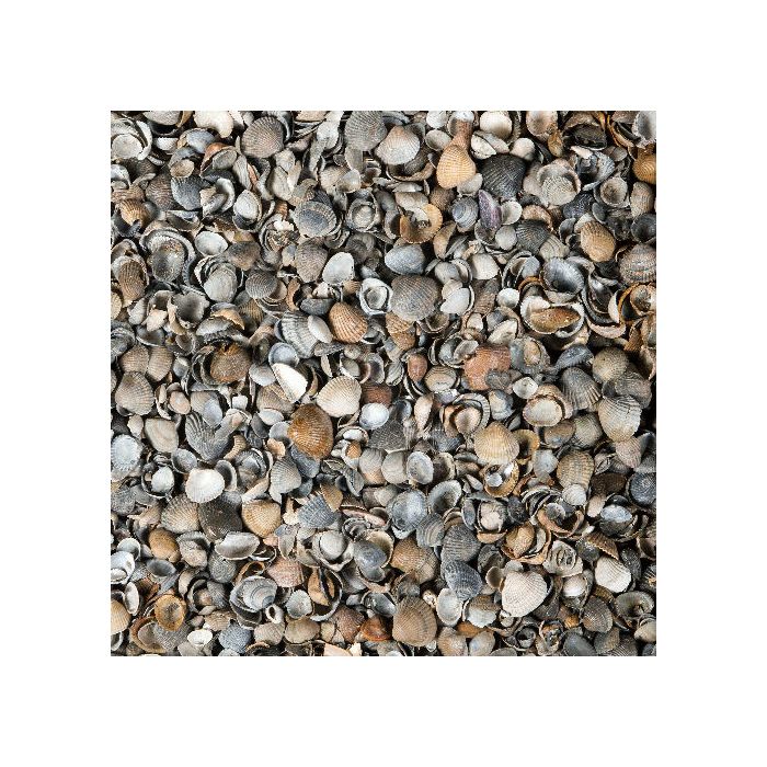 Schelpen Bruin/Grijs 8-16mm - big bag