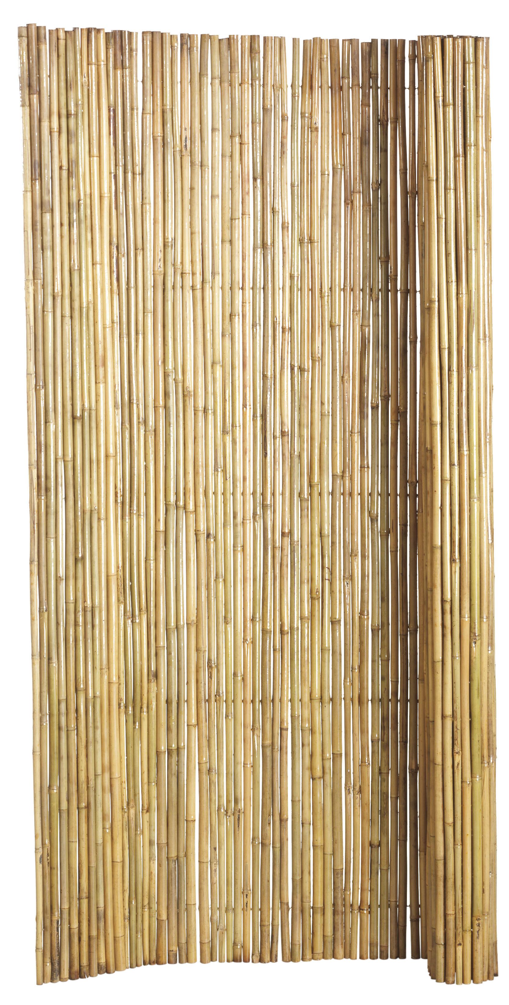 Bamboescherm op rol 180x180cm Gelakt (W17080)