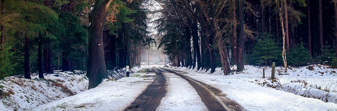Gladheidbestrijding: Hoe, waar en wanneer gebruik je strooizout?
